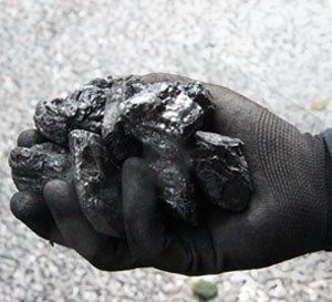 Top Quality Doubles - 1 Tonne Pallet (40 X 25kg bags)Collected by customer