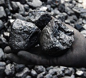 Top Quality Coal - 1 Tonne Pallet (40 X 25 bags)